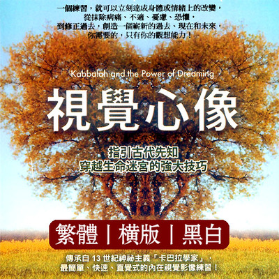 《视觉心像：指引古代先知穿越生命迷宫的强大技巧》一个练习，就可以立刻达成身体或情绪上的改变， 从抹除病痛，不适，忧虑，恐惧  ——PDF