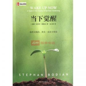 《当下的觉醒》PDF  你所寻找的 其实一直在寻找你