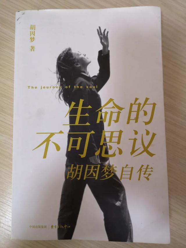 《生命的不可思议》PDF  胡因梦自传 关于成长自觉与自救的传记