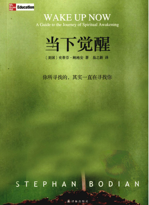《当下觉醒》PDF 体验全面觉醒带来的精神蜕变，迎接自我解剖后的新生活