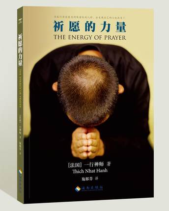 《祈愿的力量》PDF 一行禅师用温柔智慧的语言教导的身心康宁之法