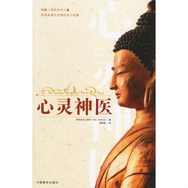 《心灵神医》东杜法王仁波切 唤醒心灵的治疗力量，获得幸福与觉悟的修习经典 ——PDF