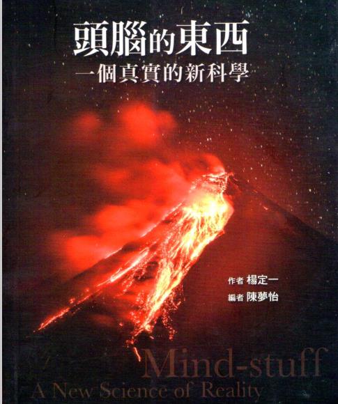 《头脑的东西》一个真实的新科学 杨定一博士  PDF