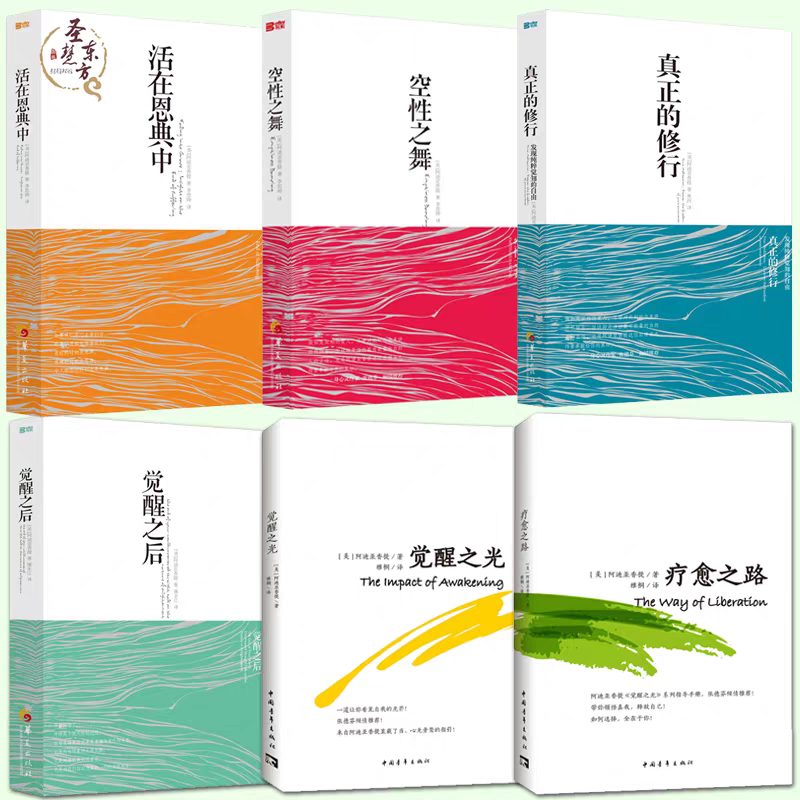 全6册 活在恩典中 觉醒之后 空性之舞 真正的修行 觉醒之光 疗愈之路 阿迪亚香提